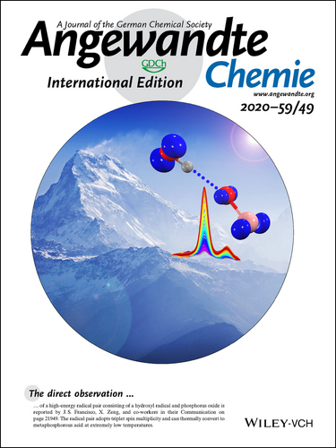 Angewandte Chemie International Edition cover artwork